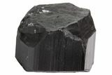 Black Tourmaline (Schorl) Crystal - Namibia #90679-1